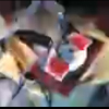 thumbnail image of work