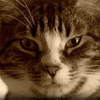 thumbnail image of work