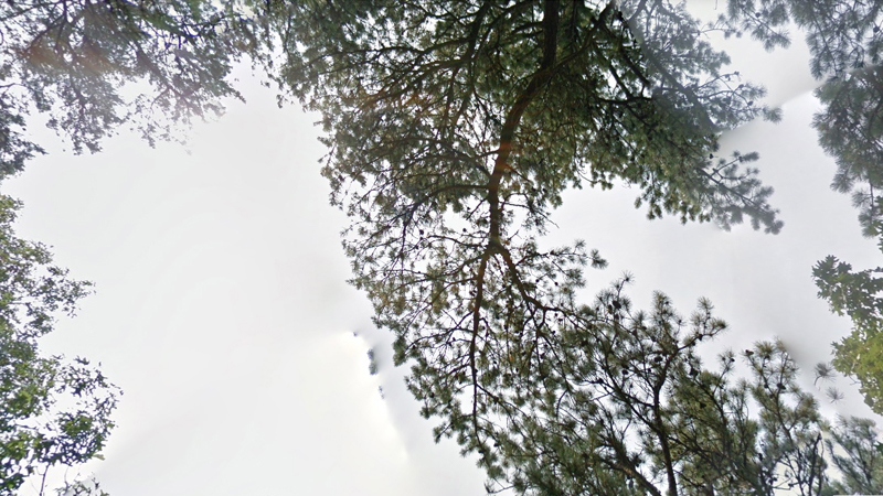 gallery image of iSkyTV