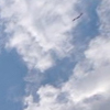 thumbnail image of work