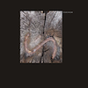 thumbnail image of work