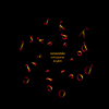 thumbnail image of work