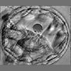 thumbnail image of work