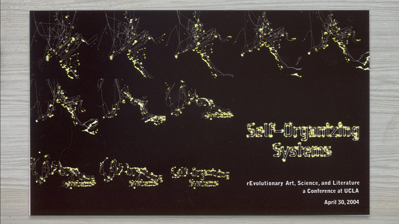gallery image of 2004 Self-Organizing Systems Conference Materials