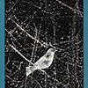 thumbnail image of work