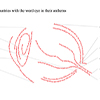 thumbnail image of work