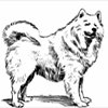 thumbnail image of work