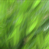 thumbnail image of work