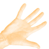 thumbnail image of work