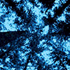 thumbnail image of work
