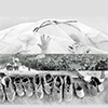 thumbnail image of work