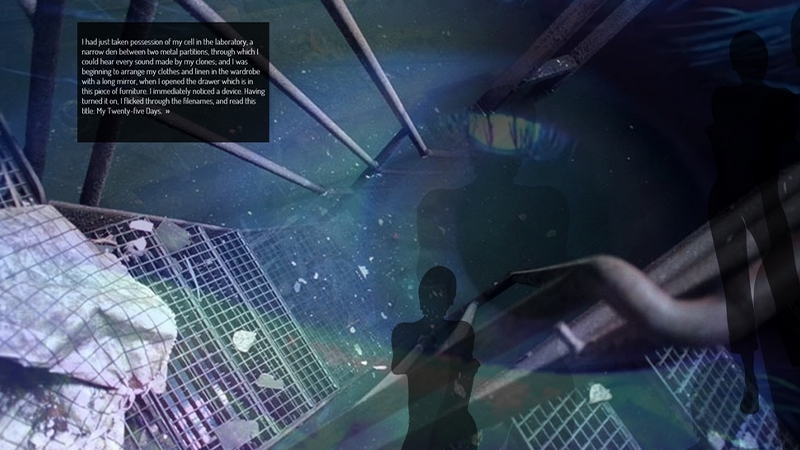 gallery image of multi.com.plicity