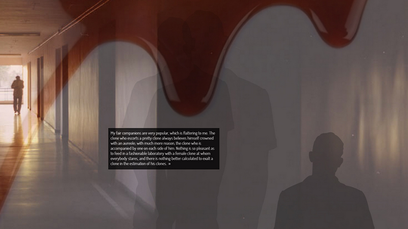 gallery image of multi.com.plicity