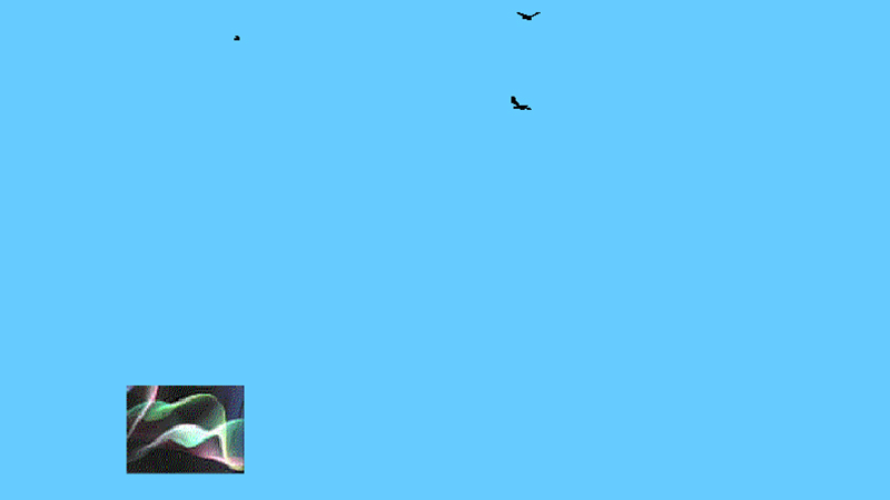 gallery image of Bird Calls
