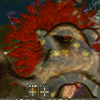thumbnail image of work