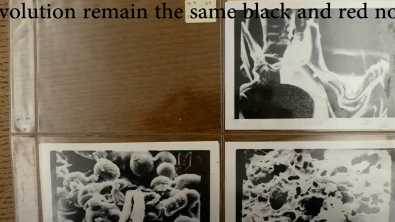 gallery image of Homeland