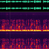 thumbnail image of work