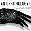 thumbnail image of work