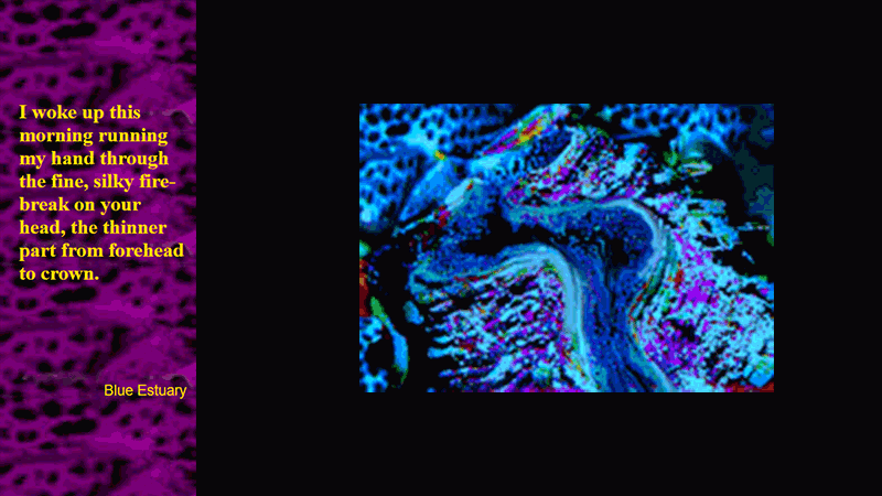 gallery image of The Rockgarden of Love