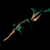 thumbnail image of work