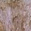 thumbnail image of work