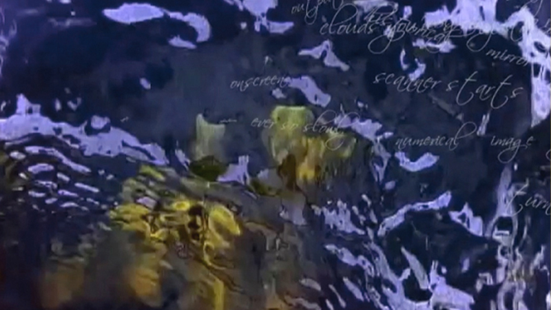 gallery image of slippingglimpse