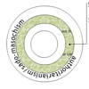 thumbnail image of work