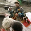 thumbnail image of work