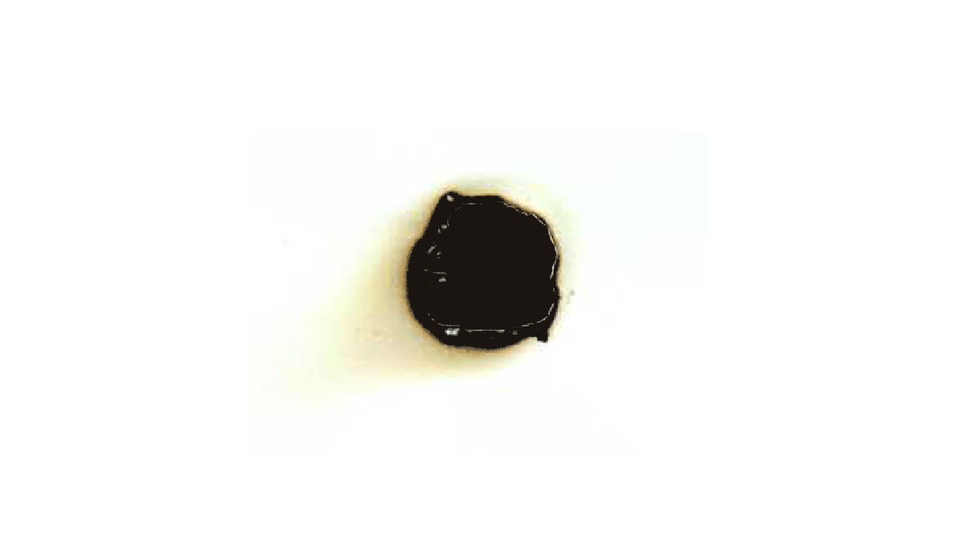 gallery image of Peephole