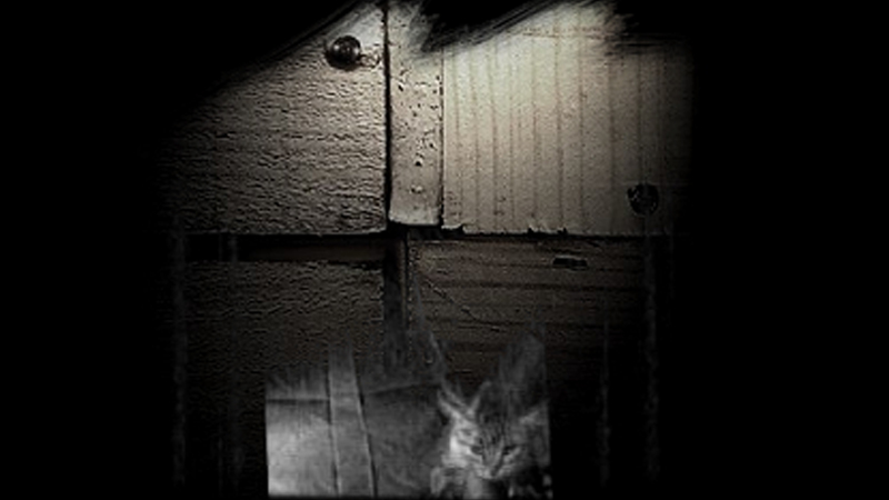 gallery image of Dans la gueule du loup (In the lion's mouth)