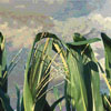 thumbnail image of work