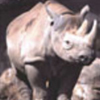 thumbnail image of work
