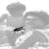 thumbnail image of work