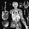 thumbnail image of work