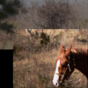 thumbnail image of work