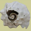 thumbnail image of work