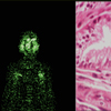 thumbnail image of work
