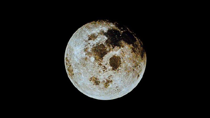 gallery image of For All Mankind