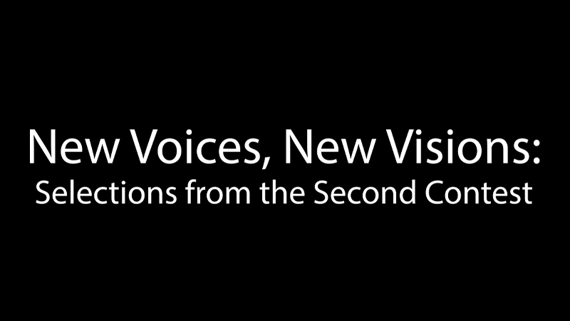 gallery image of New Voices New Visions 1995: A Selection from the Second Competition