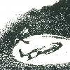 thumbnail image of work