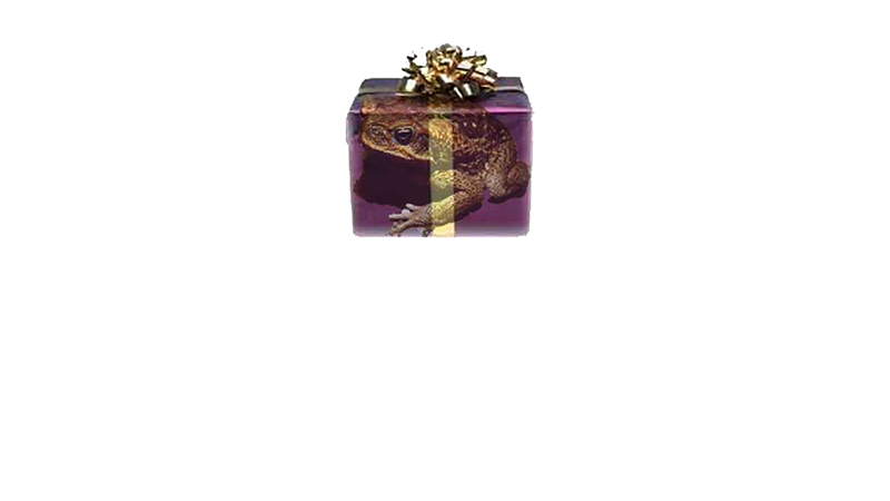 gallery image of Holiday Disaster Generator