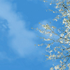 thumbnail image of work