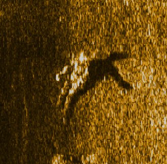 hazy submarine scan, a serrated, shaky silhoutte of a human on the ocean floor