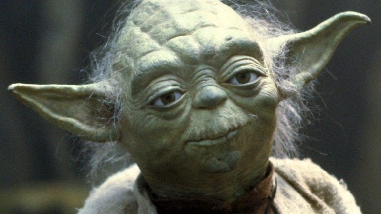 a photo of master yoda
