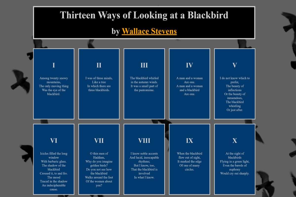 Website homepage for the Blackbird Project.