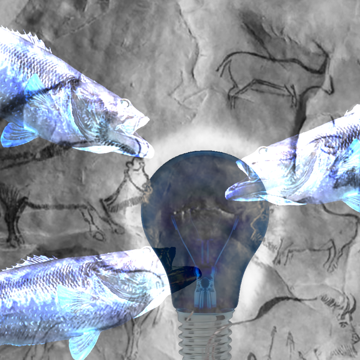 I don't know with this one man. Weird looking fish revering a negative lightbulb