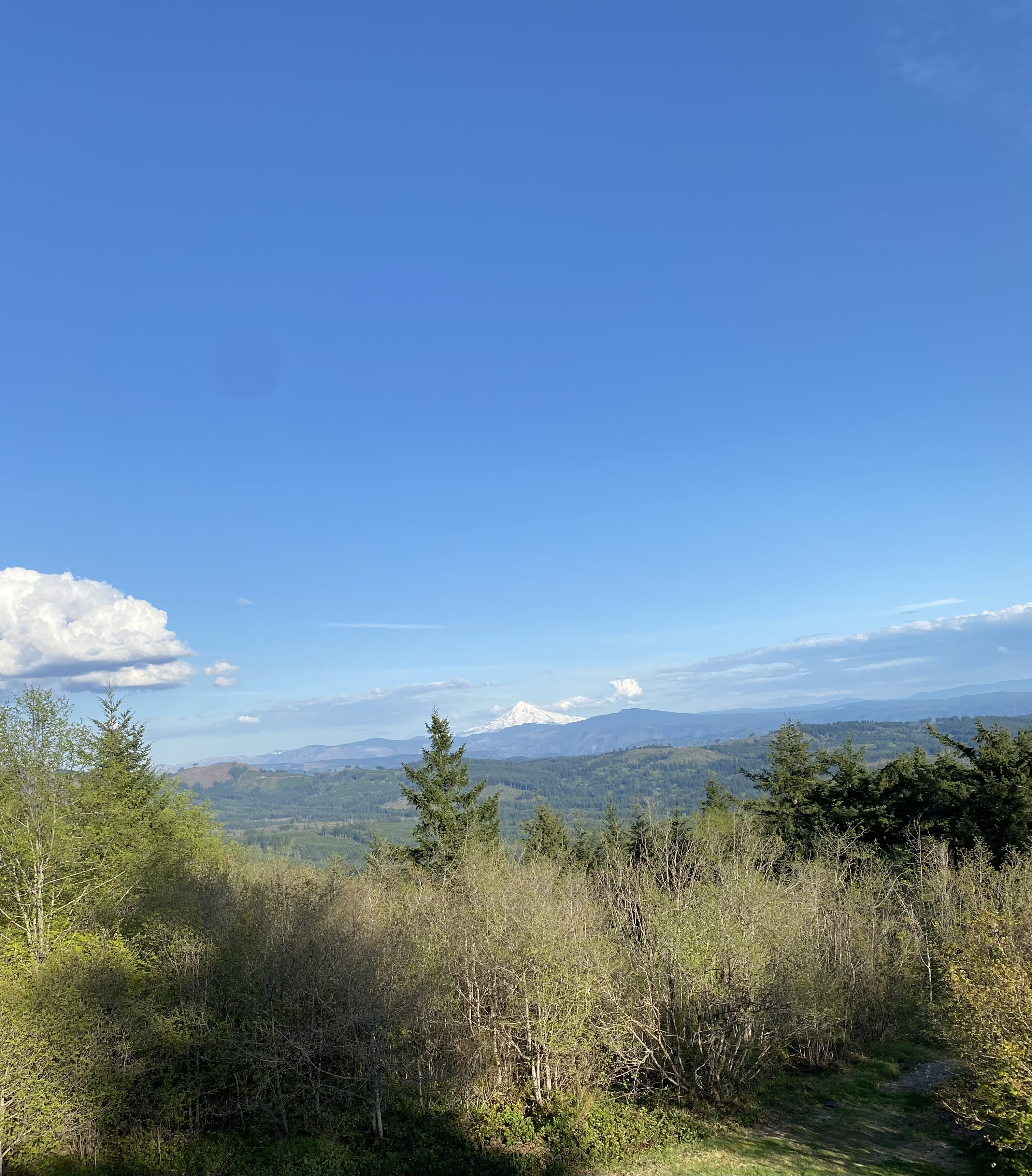 A lanscape view with Mt. Hood in the distance