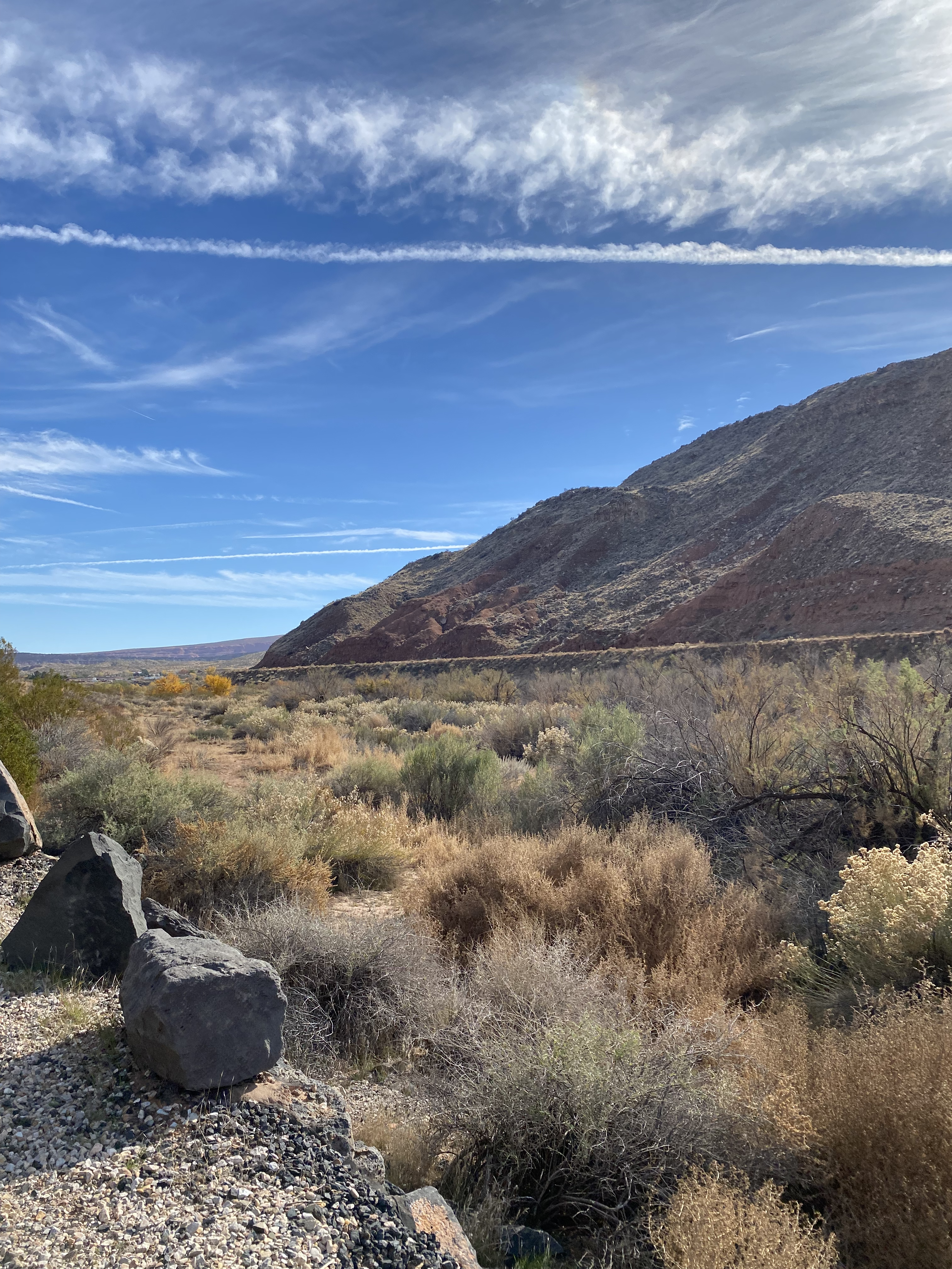 A St. George lanscape with lot of shrubs and rocks