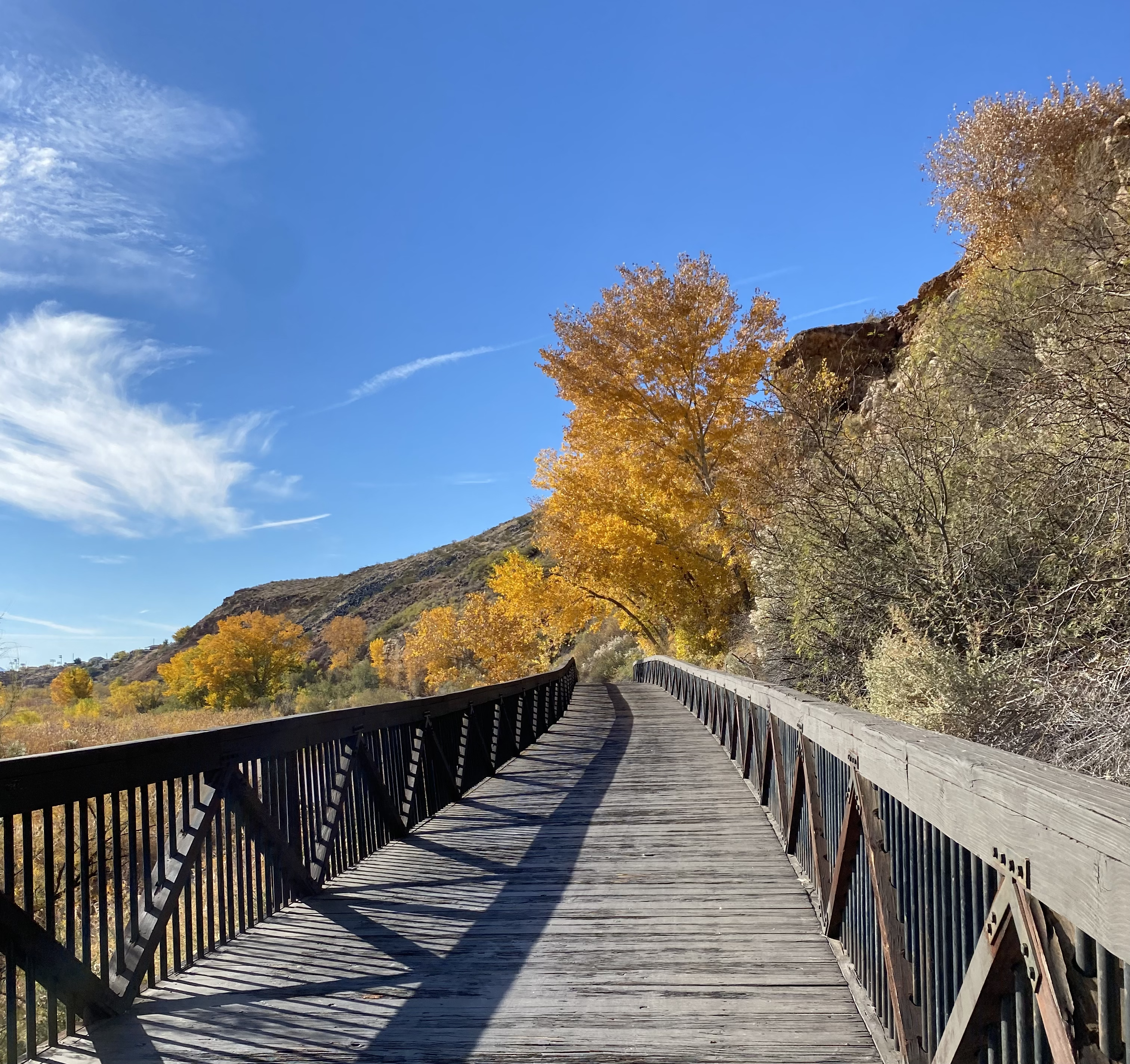 Bridge boardwalk with light green and yellow trees lining the path
