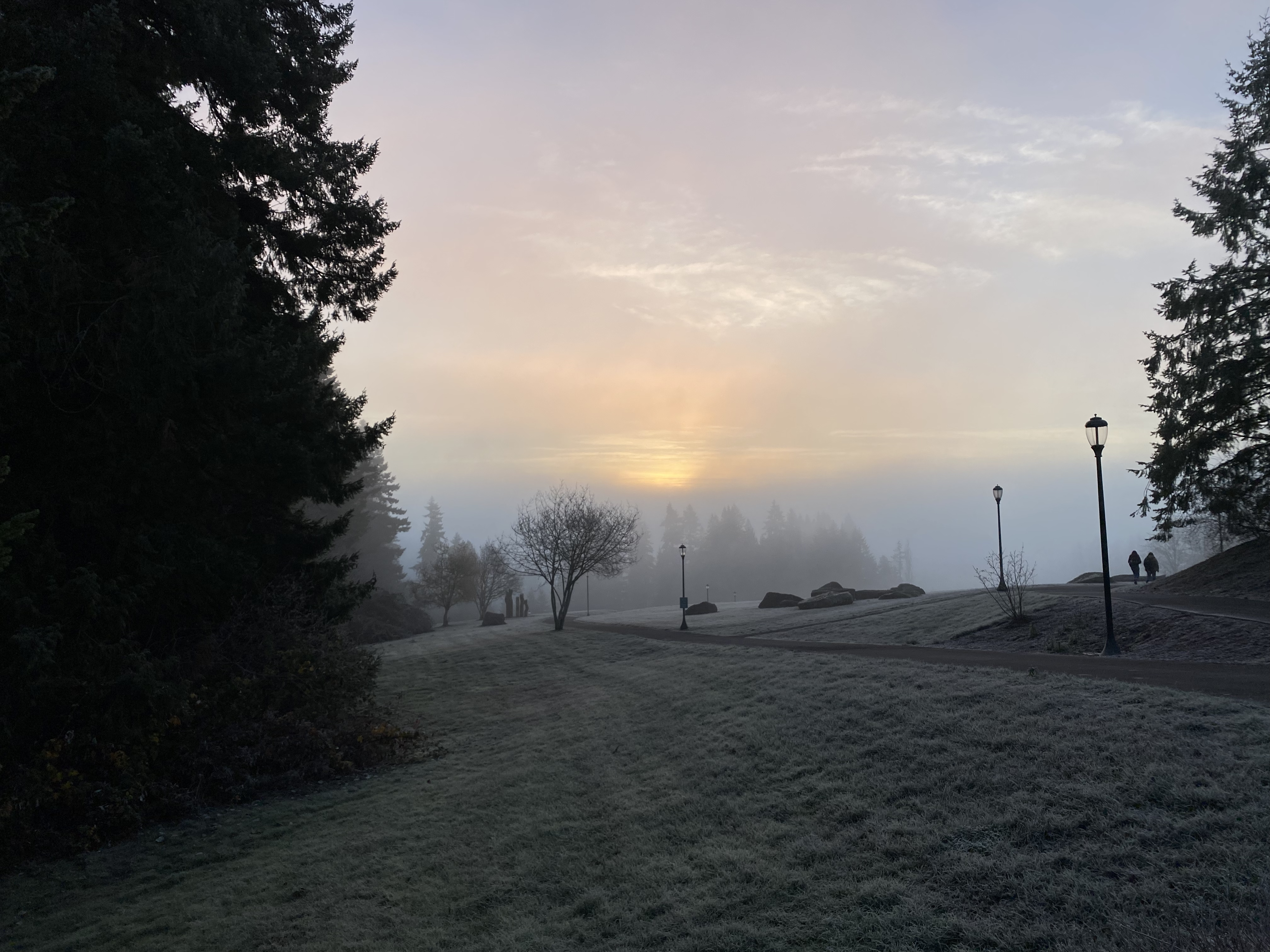 A misty sunrise over a paved path in a field with lamp posts
